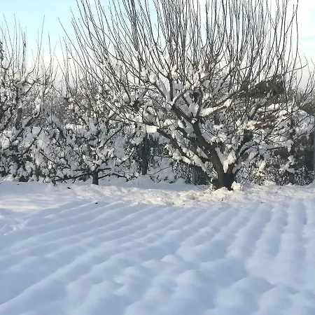 Felix House Codevilla