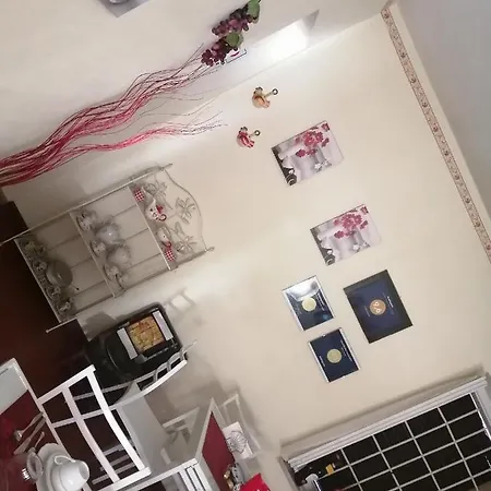 Felix House Codevilla