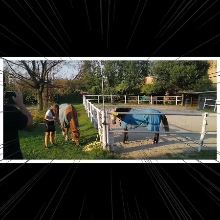 Frühstückspension Felix House