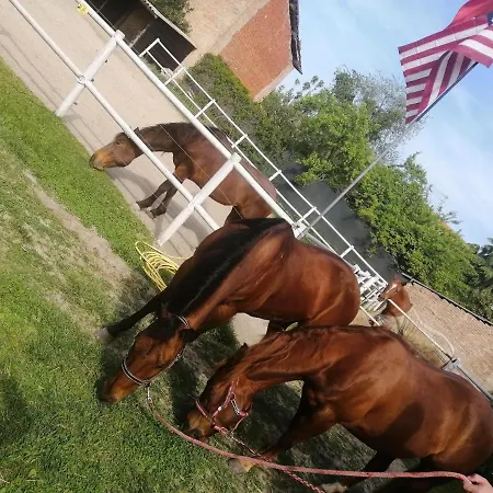 Felix House * Codevilla