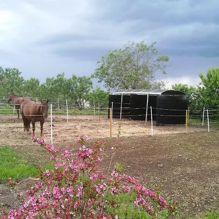 Felix House Codevilla