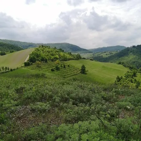 Frühstückspension Felix House Codevilla