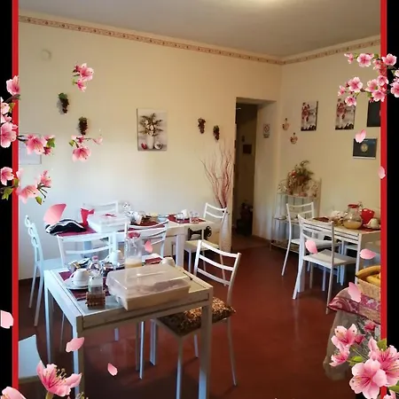 Felix House Bed & Breakfast *