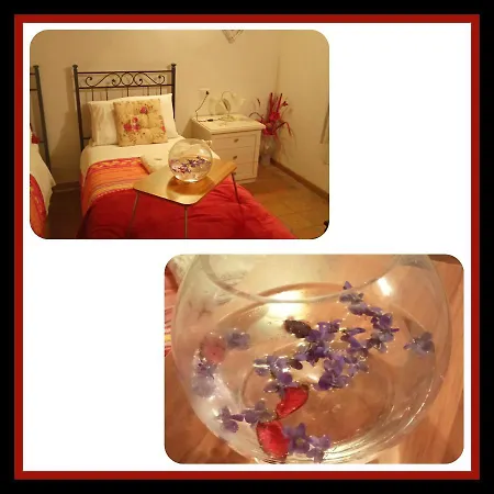 Bed & Breakfast Felix House *