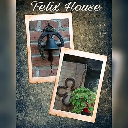 Felix House B&B
