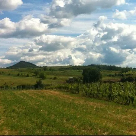 Felix House Frühstückspension Codevilla