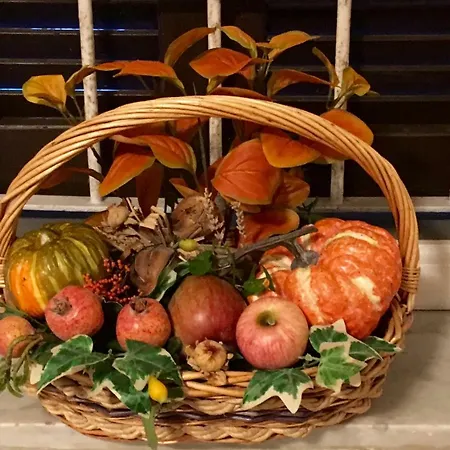 Felix House Codevilla