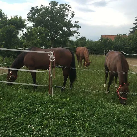 Frühstückspension Felix House Codevilla