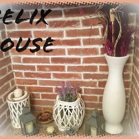 Felix House Отель типа 