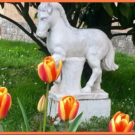 Felix House Frühstückspension