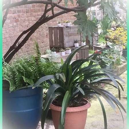 Felix House * Codevilla