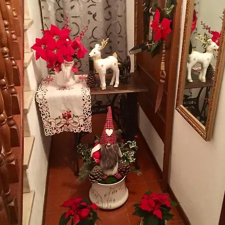 Felix House Codevilla