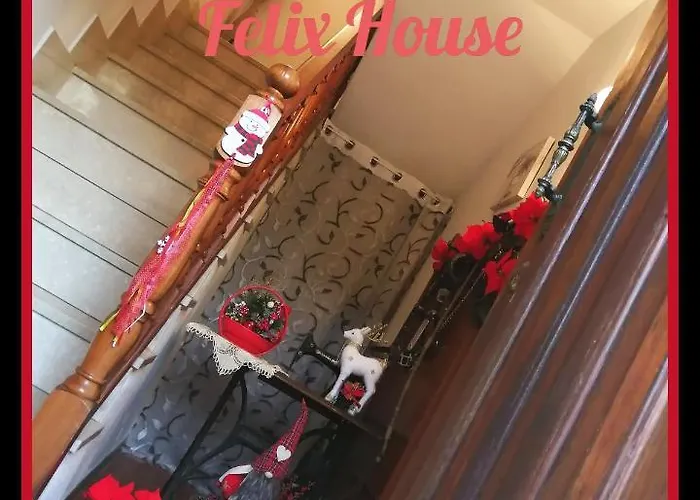B&B Felix House