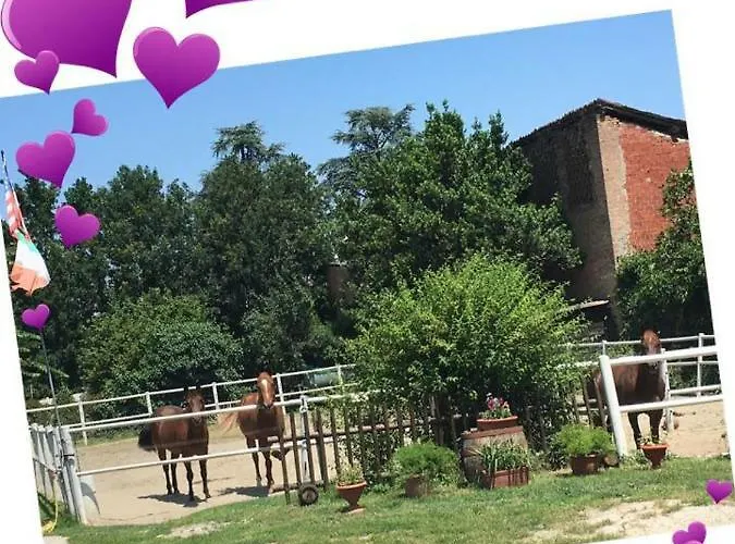 Felix House B&B